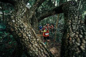 BIB: 
                            <button type="button" onclick="openModal(25392481)" class="btn btn-primary btn-sm float-right btn-popup" data-toggle="modal" data-target=".modal-high-quality">
                        <i class="fas fa-shopping-cart"></i> Add to Cart
                    </button>
                                            <button type="button" onclick="isThisMe(25392481, true)" class="btn btn-success btn-sm float-right btn-popup btn-isme hidden" data-toggle="tooltip" data-placement="bottom" title="นี่คือรูปของคุณใช่ไหม คลิกที่นี่เพื่อเอาเข้าอัลบั้ม">
                        <i class="fas fa-plus"></i> Add to album
                    </button>
                    <button type="button" onclick="isThisMe(25392481, false)" class="btn btn-warning btn-sm float-right btn-popup btn-isnotme hidden">
                        <i class="fas fa-ban"></i> Remove from album
                    </button>